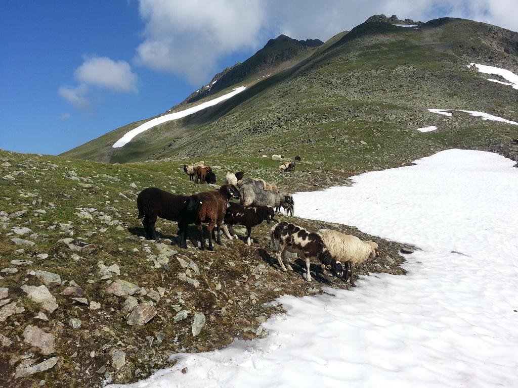 Ferienhaus Eiter Sankt Leonhard im Pitztal Dış mekan fotoğraf